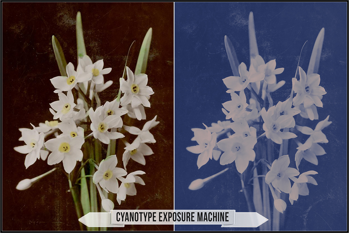 Authentic Cyanotype LUTs, a Plug-in Add-On by Raztrend (Photo 12 of 32)