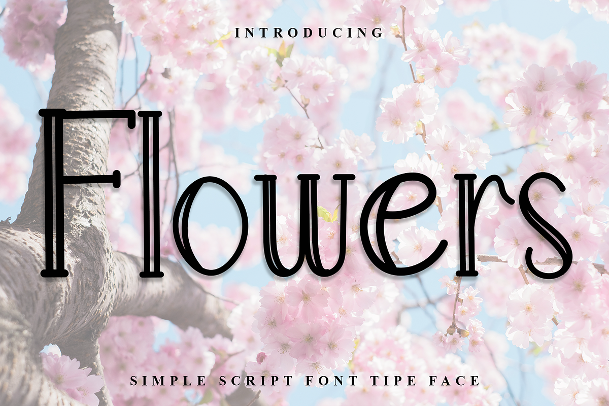 Flowers, a Handwritten Font by InermediaSTUDIO (Photo 1 of 8)
