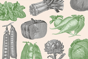 220 Vintage Vegetable Illustrations