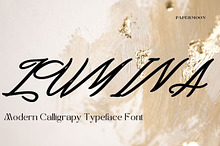Lumina Modern Calligraphy Typeface