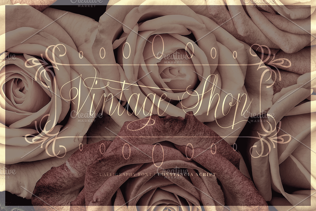 Constância Script Family preview 4