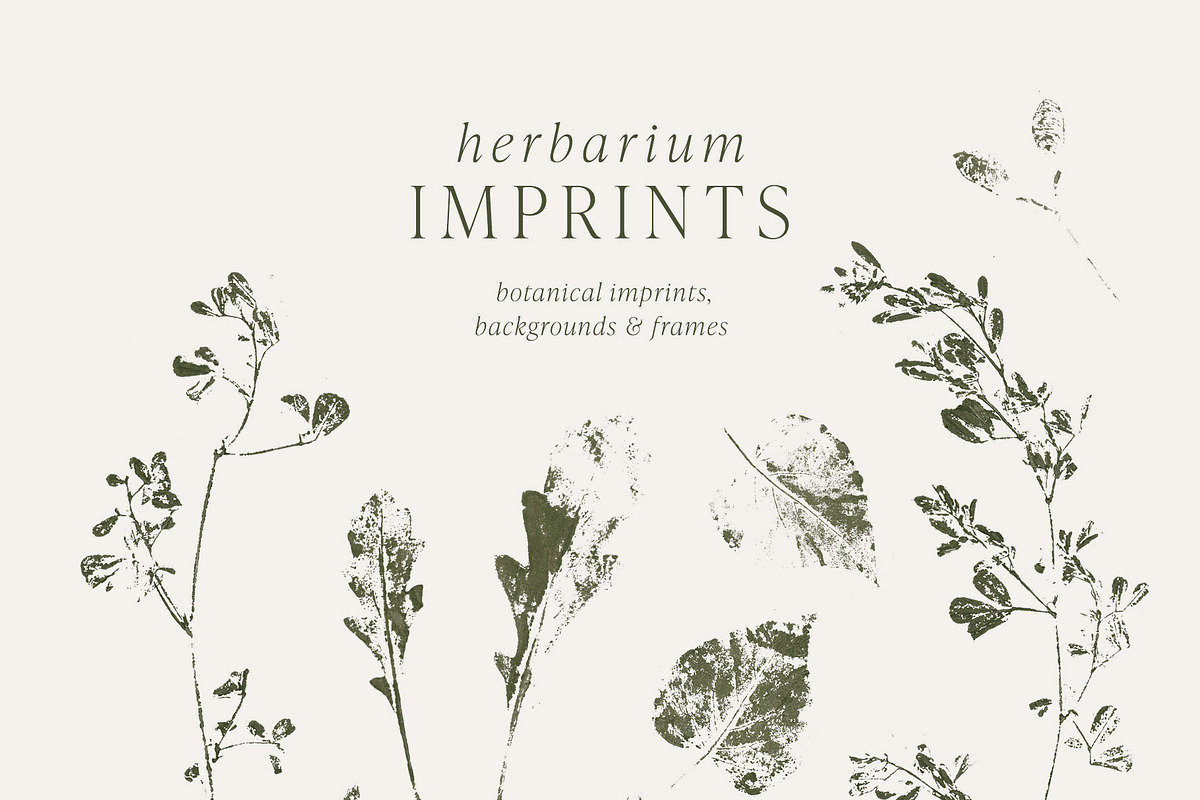 Botanical Imprints: Floral & Paper, an Object Graphic by Yuliya Derbisheva (Photo 4 of 10)