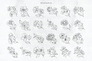 Procreate Delicate Blossom Stamps, a Brush Add-On by DiBrush Studio (Thumbnail 4 of 6)