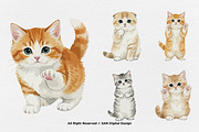 15 Bundle Watercolor Cute Cats Pet, an Animal Illustration by Morspective (Thumbnail 6 of 8)