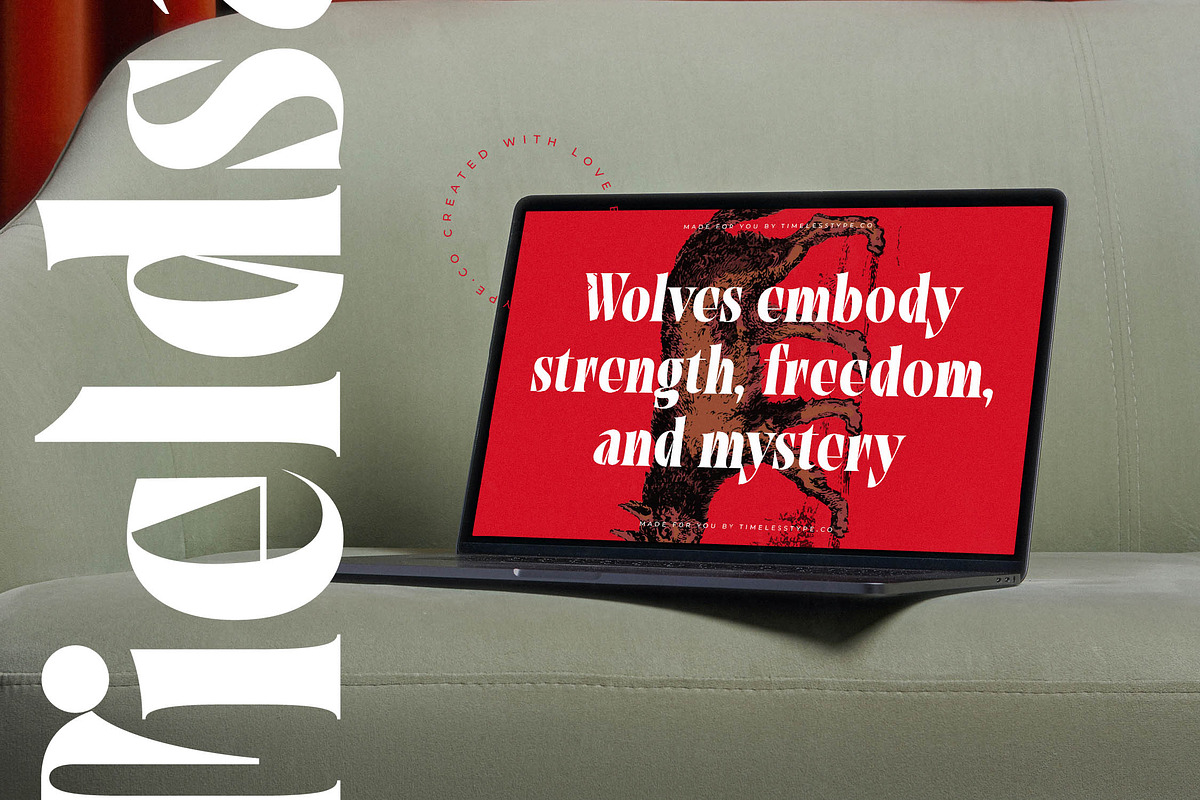 Tieldsa Bold Serif Display Font, a Serif Font by timelesstype.co (Photo 3 of 20)