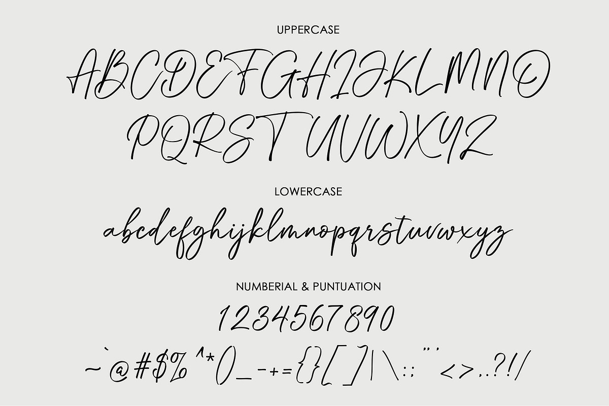 Through Script, a Script Font by moriztype (Photo 8 of 11)