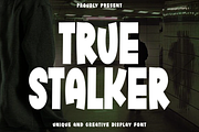 True Stalker, a Script Font by FreshTypeINK (Thumbnail 1 of 8)