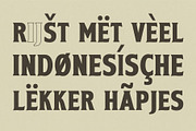 Virevont, a Serif Font by graphicook (Thumbnail 4 of 10)