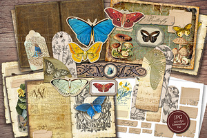 Butterfly Scrapbooking Kit