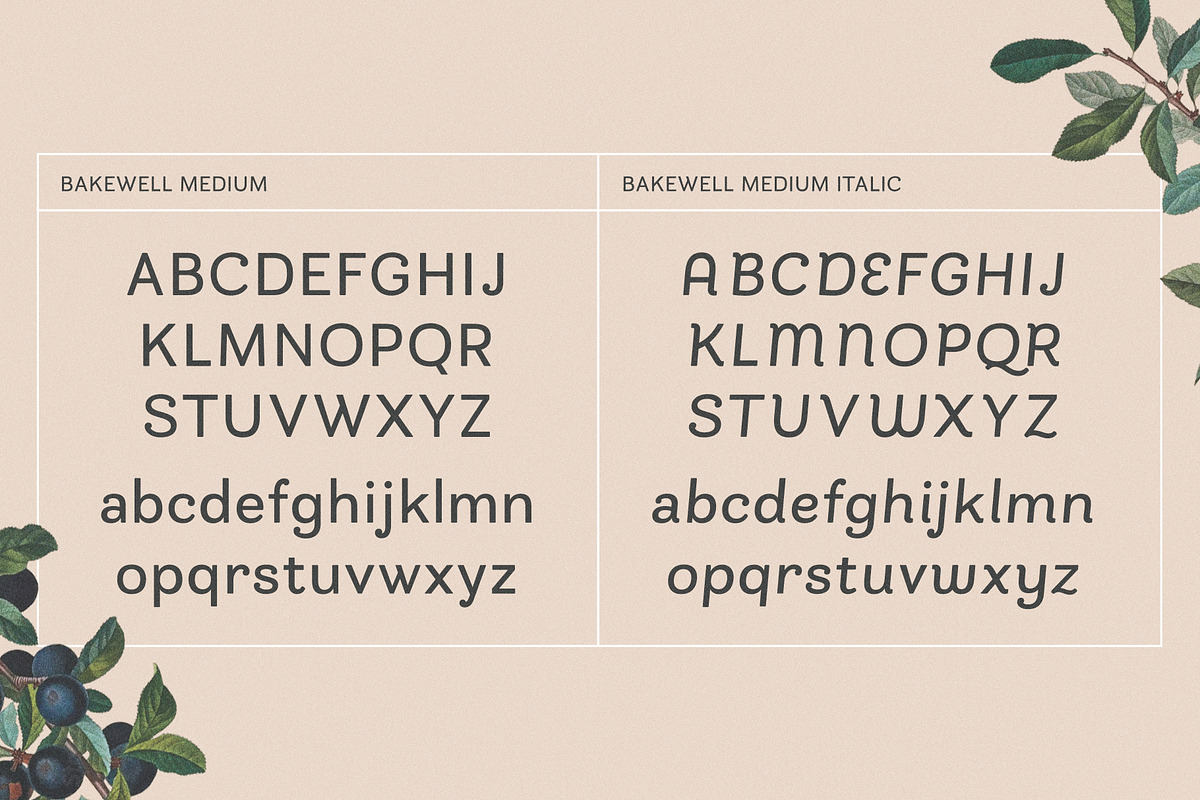 Bakewell Complete Family, a Sans Serif Font by Kimmy Design (Photo 8 of 14)