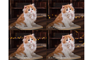 Simple bokeh photoshop overlays, an Object Graphic by Paper Farms (Thumbnail 5 of 7)