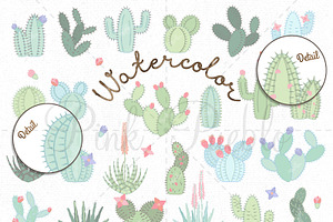 Watercolor Cactus Clipart & Vectors