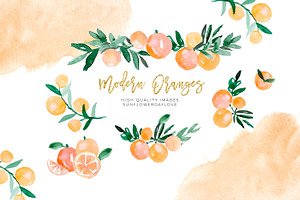 Orange Citrus Watercolor Clipart