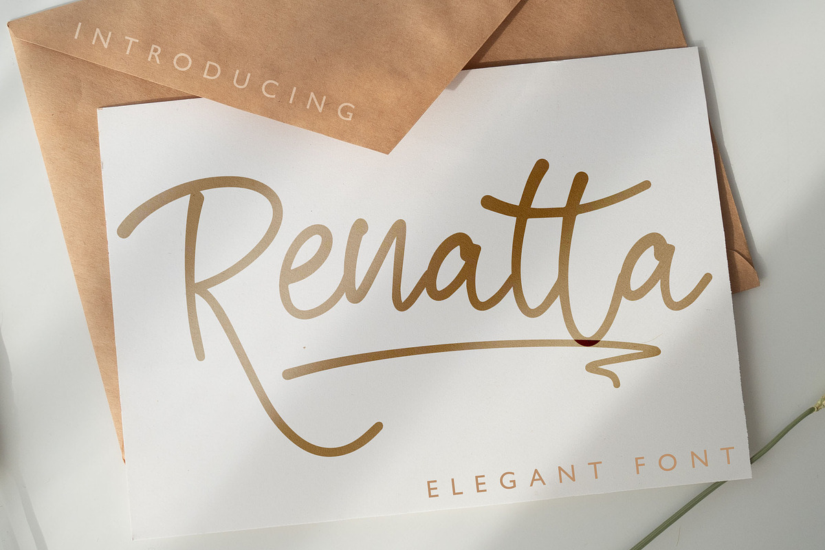 Renatta - Elegant Script Font, a Script Font by NTC Graphic (Photo 1 of 9)