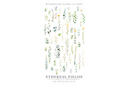 Watercolor Delicate Wildflowers, a Decorative Illustration by Patishop Art (Thumbnail 6 of 7)