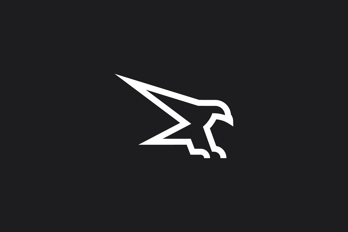 Eagle, a Branding & Logo Template by zeykan