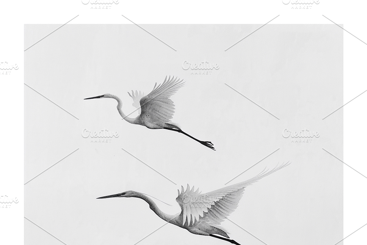 Gret Collection · Egrets in Flight, an Animal Illustration by milatovar (Photo 12 of 17)