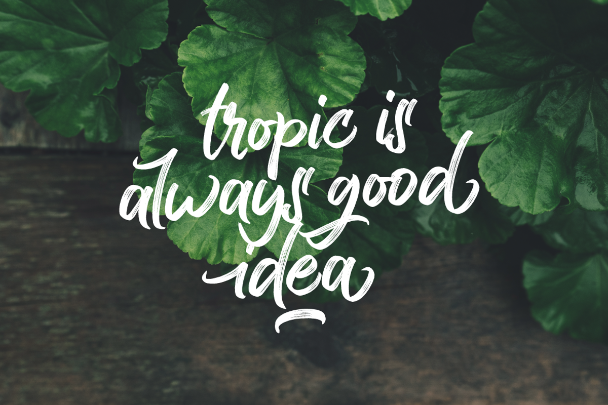 Mini Font Bundle - Typia Nesia, a Script Font by Typia Nesia (Photo 16 of 19)