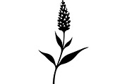 Decorative Tribal Feather Vector, an Object Graphic by Designer_Momina (Thumbnail 13 of 18)