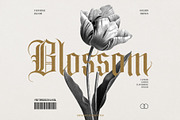 The Blackletter Bundle Alitdesign, a Blackletter Font by alit design (Thumbnail 8 of 19)