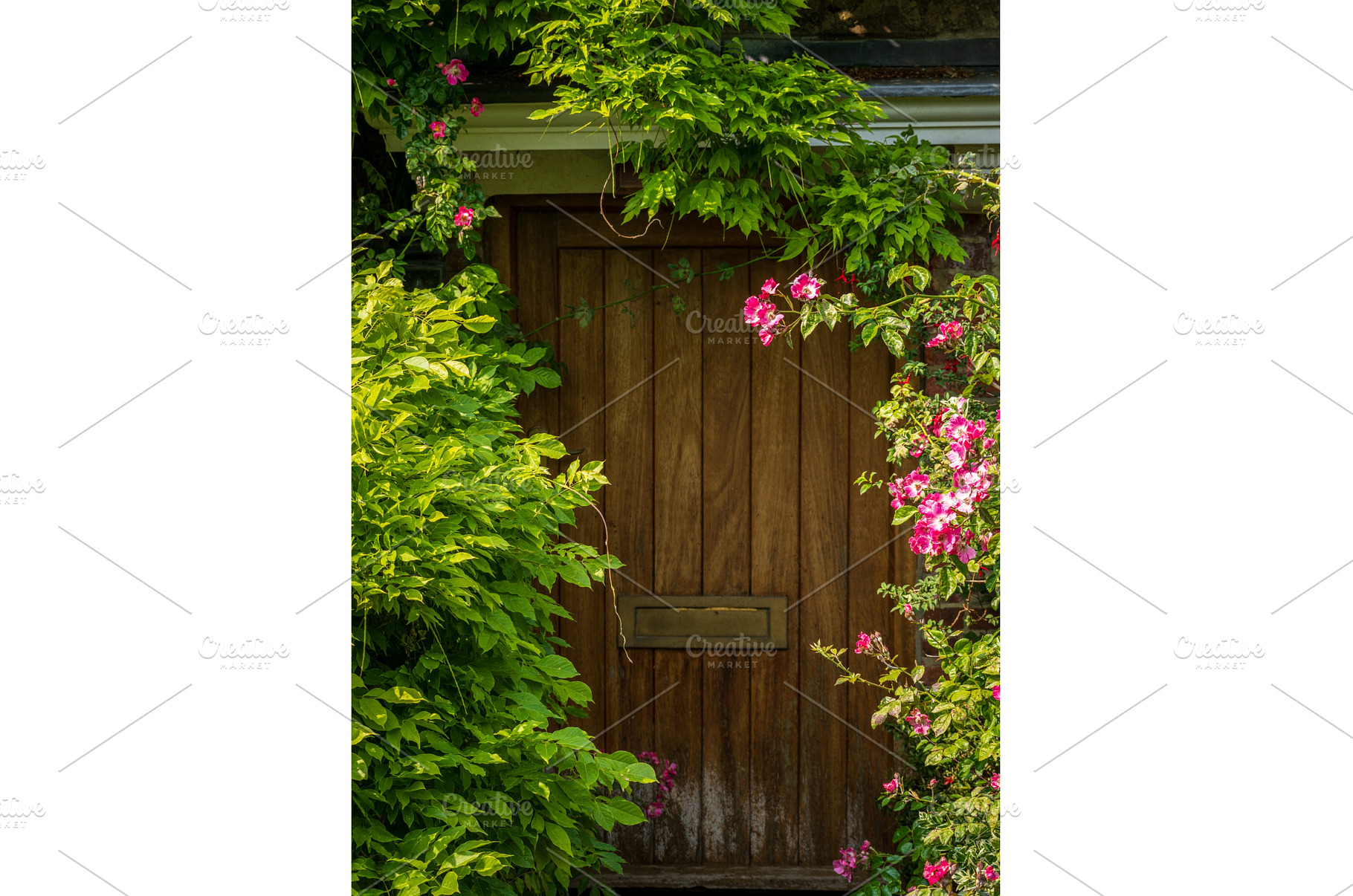 Roses and flowers overgrown the, an Architecture Photo by Backyard Stock