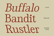 CS Amadeus – Tuscan Font, a Serif Font by Craft Supply Co. (Thumbnail 5 of 8)