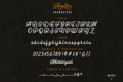Ampihan, a Script Font by Secondivison Supply (Thumbnail 7 of 8)