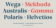 Vivala Marbod, a Serif Font by VivalaType (Thumbnail 8 of 13)