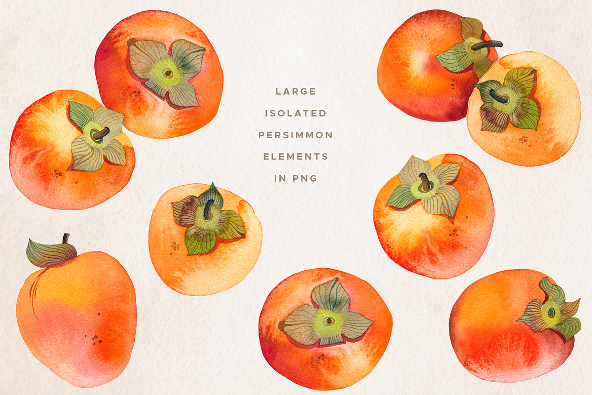 Fruit & Vegetable Watercolor Bundle, a Decorative Illustration by Olga Begak Art & Design (Photo 6 of 13)