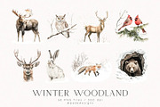 Winter Woodland, an Animal Illustration by PeDe Designs (Thumbnail 3 of 8)
