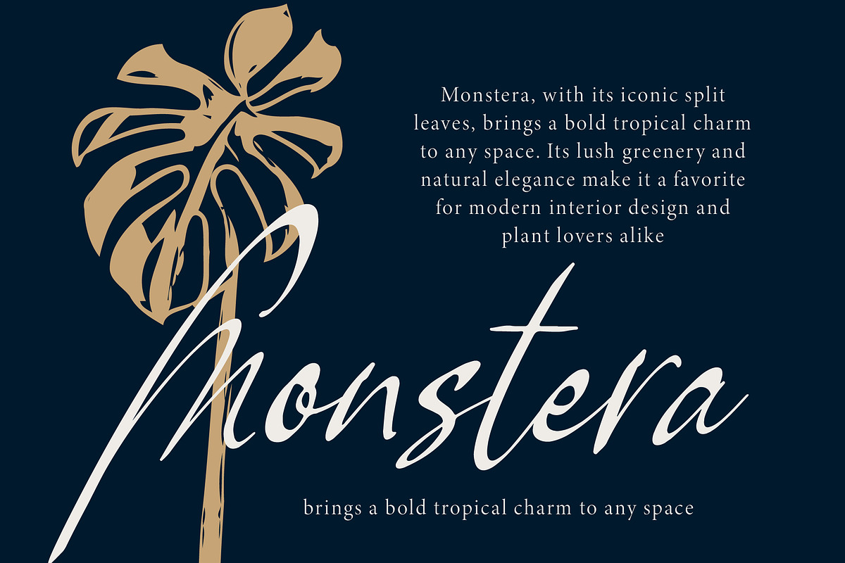 Pamric Mevira Handwritten Ink Font, a Script Font by Letterena Studios Script (Photo 9 of 15)