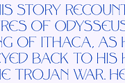 Olympus Font Family, a Serif Font by Hemphill Co (Thumbnail 4 of 14)