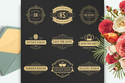 18 Wedding Logos and Badges, a Branding & Logo Template by Vasya Kobelev (Thumbnail 5 of 14)