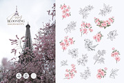 Blooming Paris. Motifs,Frame,pattern, an Illustration by Kotkoa (Thumbnail 4 of 21)