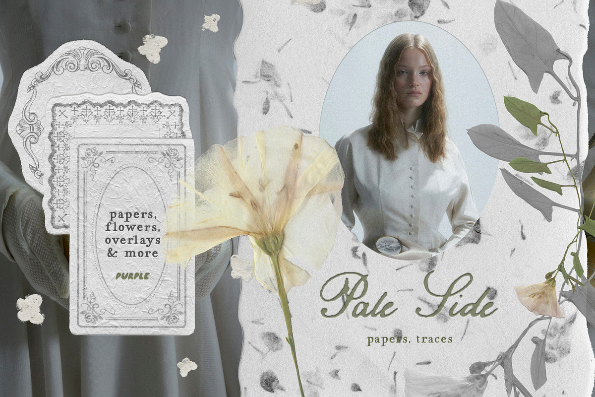 Pale Side: Papers, Flowers & Traces, an Object Graphic by Purple (Photo 1 of 16)