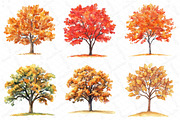 Watercolor Fall Autumn Tree Clipart, an Illustration by DreamPrint404 (Thumbnail 5 of 6)