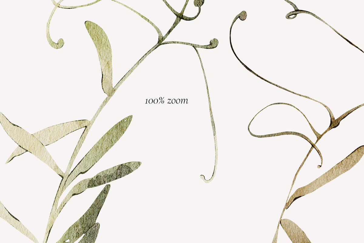 WINTER FLORALS watercolor set, a Decorative Illustration by Yuliia Lashevska (Photo 2 of 12)