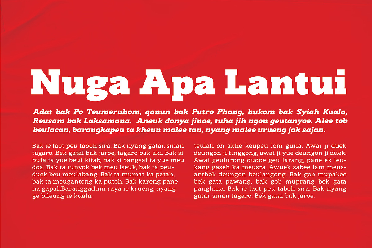 Nuga - Slab Serif, a Slab Serif Font by Ridha-38.lineart (Photo 7 of 7)