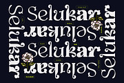 Selukar - Display Variable Font, a Serif Font by Artflorara (Thumbnail 1 of 16)