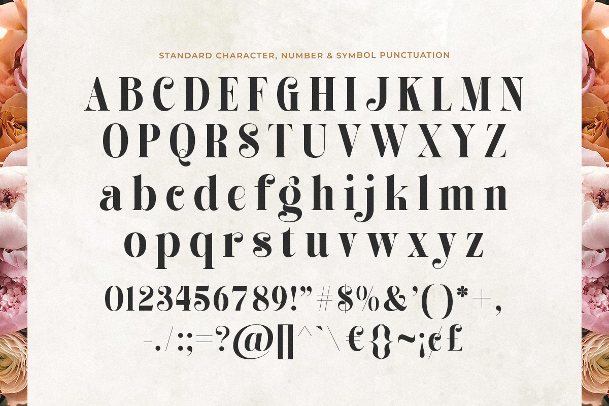 Alissha Bright - Modern Serif, a Serif Font by Shakira Studio (Photo 9 of 10)