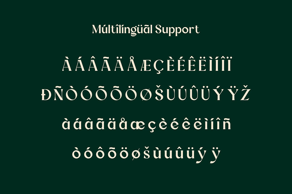 Marlyn Tomorrow Luxury Minimal Serif, a Serif Font by WhymoreArt (Photo 10 of 11)