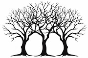 8 Tree Silhouette Vector Bundle, an Illustration by Designs_River (Thumbnail 5 of 9)