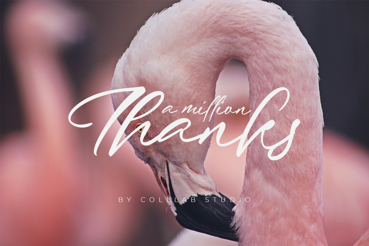 Just Quoting | A Script Font, a Script Font by Colllab Studio (Photo 18 of 24)