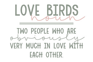 Little Love Birds Font Duo