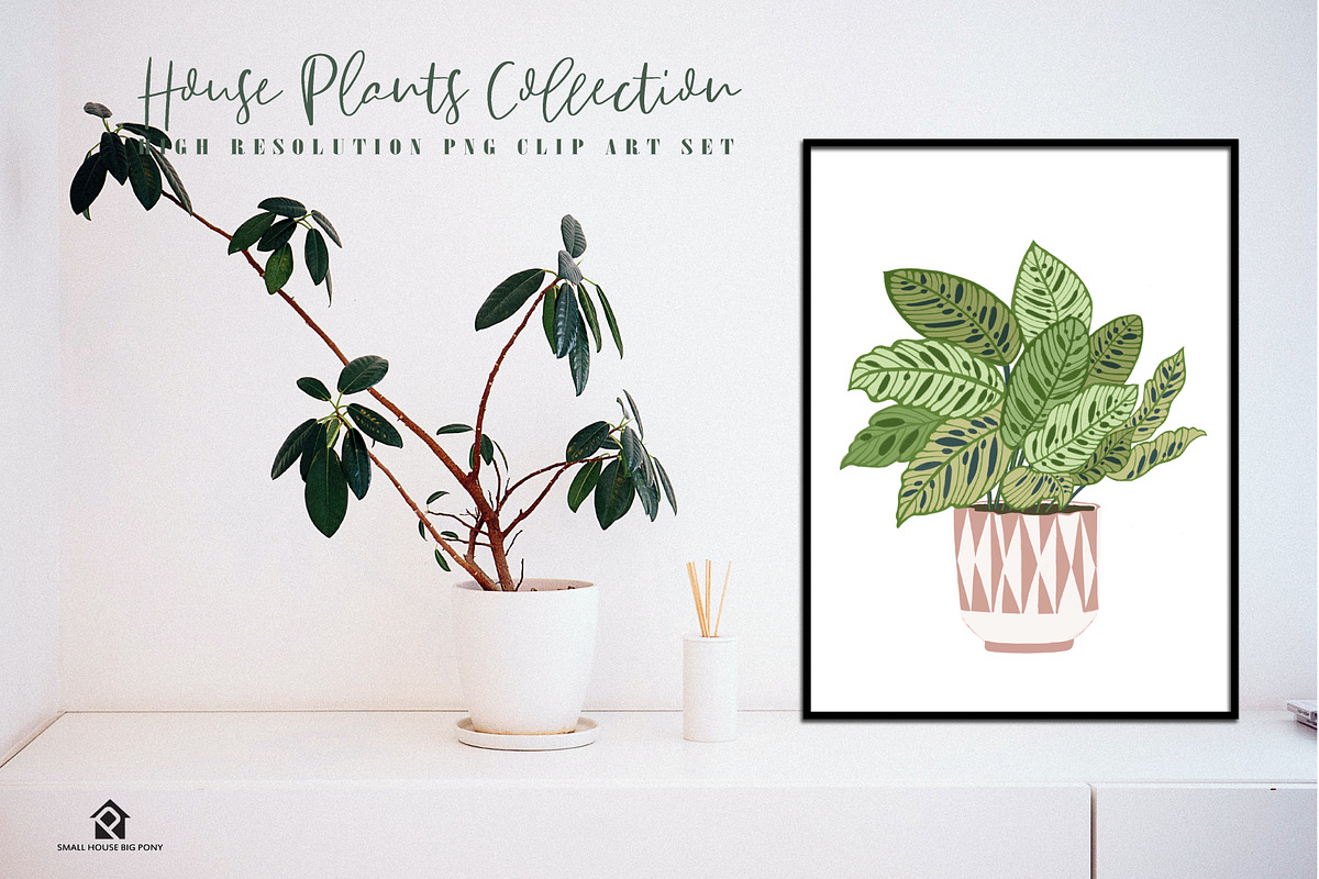 House Plants Collection, a Graphic by SmallHouseBigPony (Photo 7 of 18)