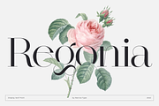 Regonia Display Serif Typeface, a Serif Font by Narrow Type