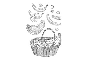 Basket with branch fresh banana, an Object Illustration by MoreVector