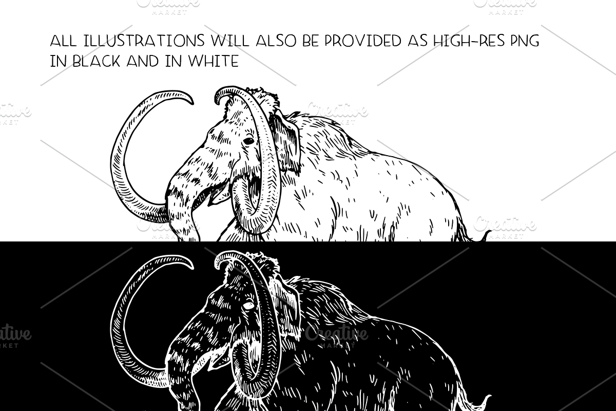 Extinct animals - illustration set, an Animal Illustration by Renée from Studio neetje (Photo 3 of 5)