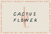 Cactus Flower - Handwritten Font, a Font by Creative Type (Thumbnail 1 of 7)