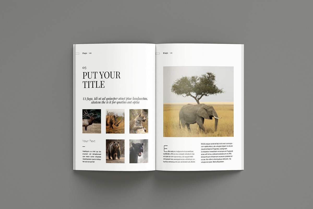 Portfolio Brochure Layout, a Brochure Template by Seeing-art (Photo 6 of 11)